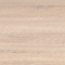 midden-eiken